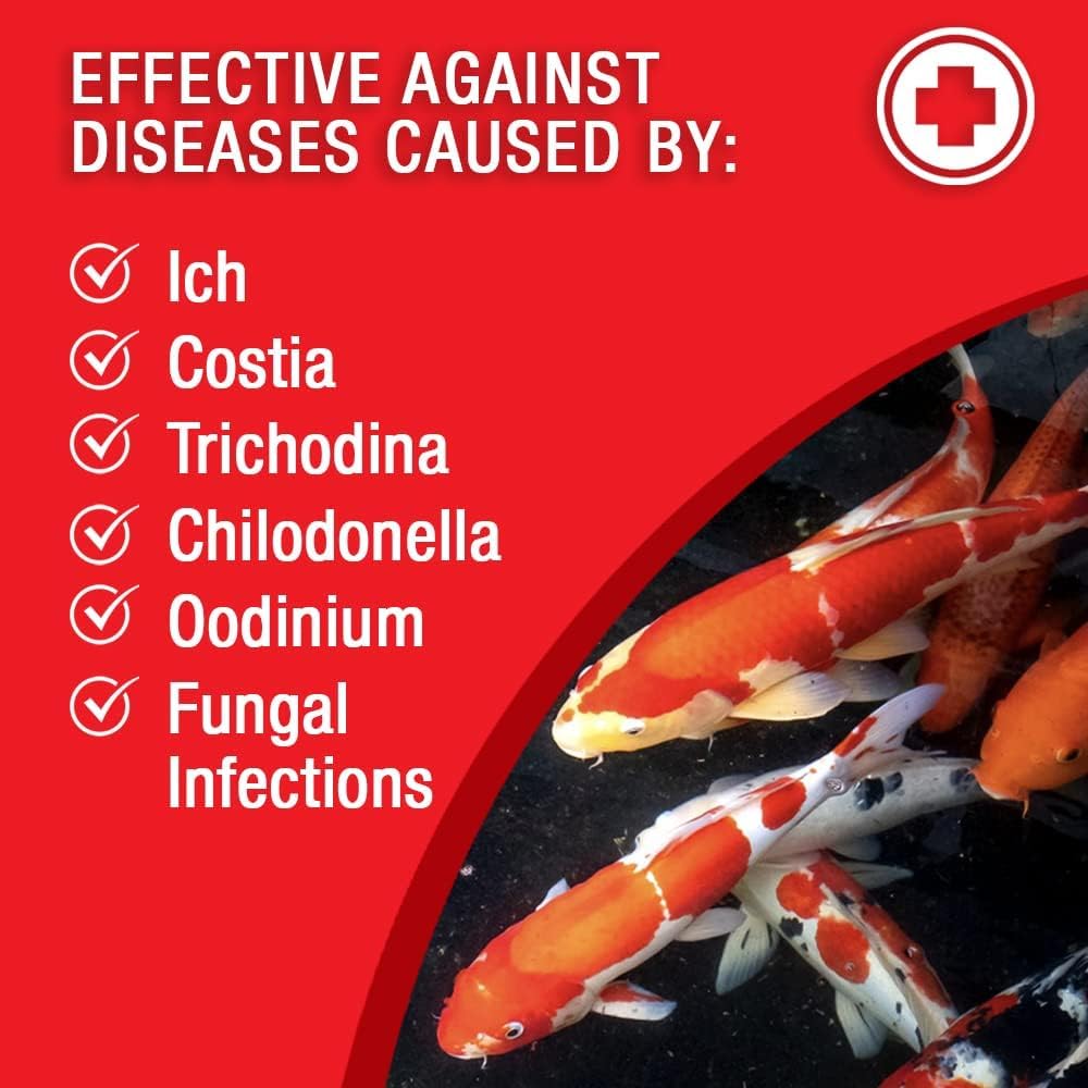 BSDTG1 goldfish care image; promotes healthy fins and vitality.