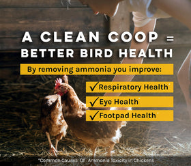 Microbe-Lift interior surface spray for coops simplifies routine cleaning and maintenance.
