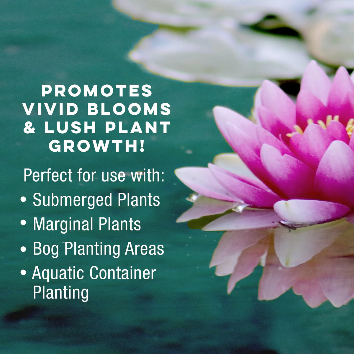 MICROBE-LIFT MLCAPM10 neutral pH media helps keep pond water balanced.