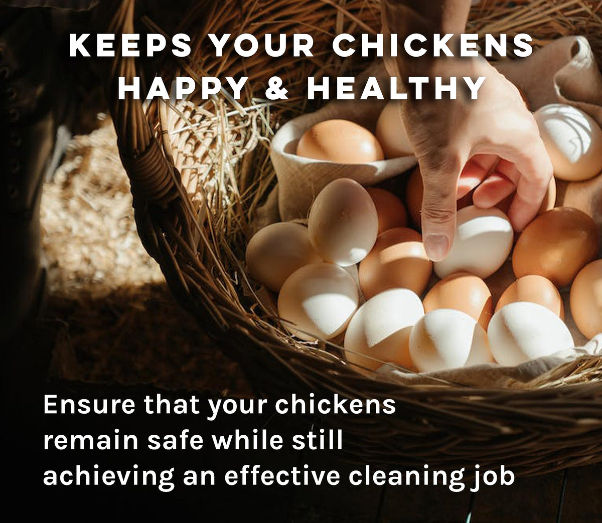 Microbe-Lift odor control at source helps improve coop air quality.
