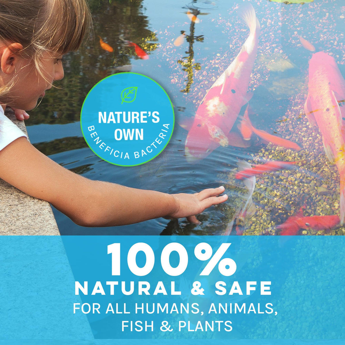 MICROBE-LIFT PL is safe for live koi and aquatic life.