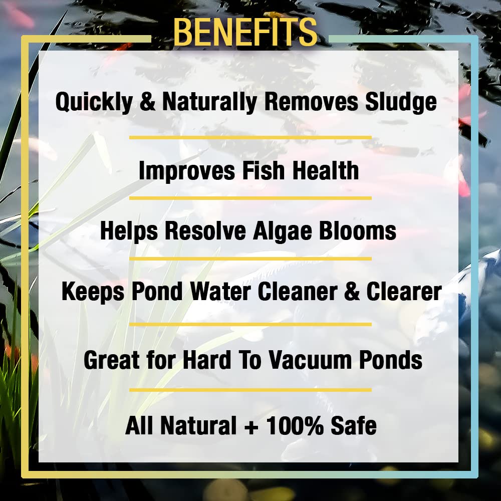 MICROBE-LIFT Sludge-Away disperses solids for quicker water clarity in outdoor ponds.