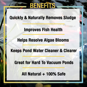 MICROBE-LIFT Sludge-Away disperses solids for quicker water clarity in outdoor ponds.