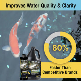 SAFE for fish, plants, and décor: Sludge-Away works year-round in varying temperatures.