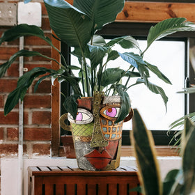 Midogaigai unique gift face pot ideal for plant lovers and art fans.