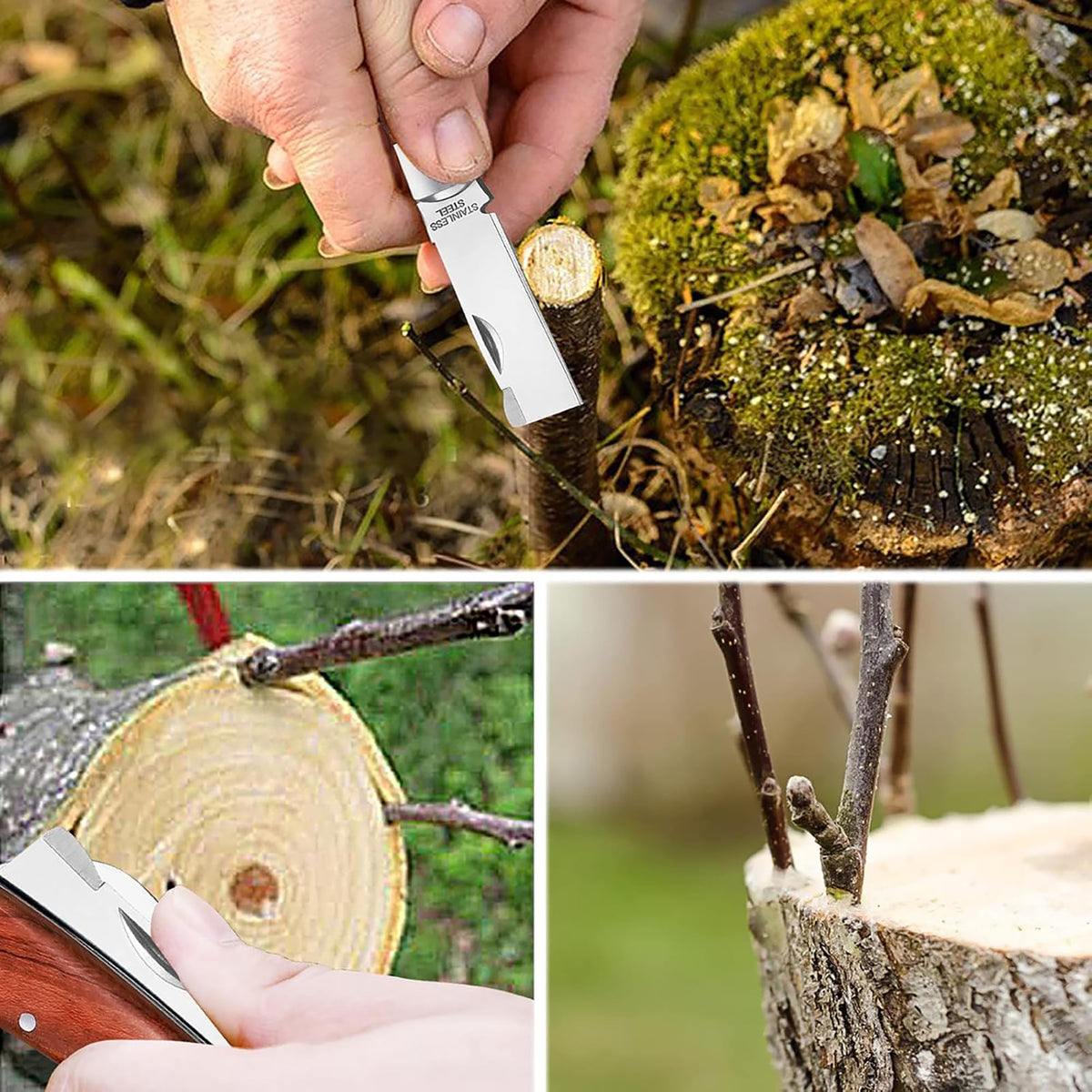 MIDOUWEST grafting knife with bark lifter enables clean bark lifting during grafting.