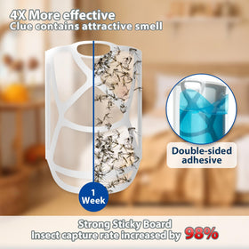 Miedecdel trap covers up to 600 square feet for larger rooms