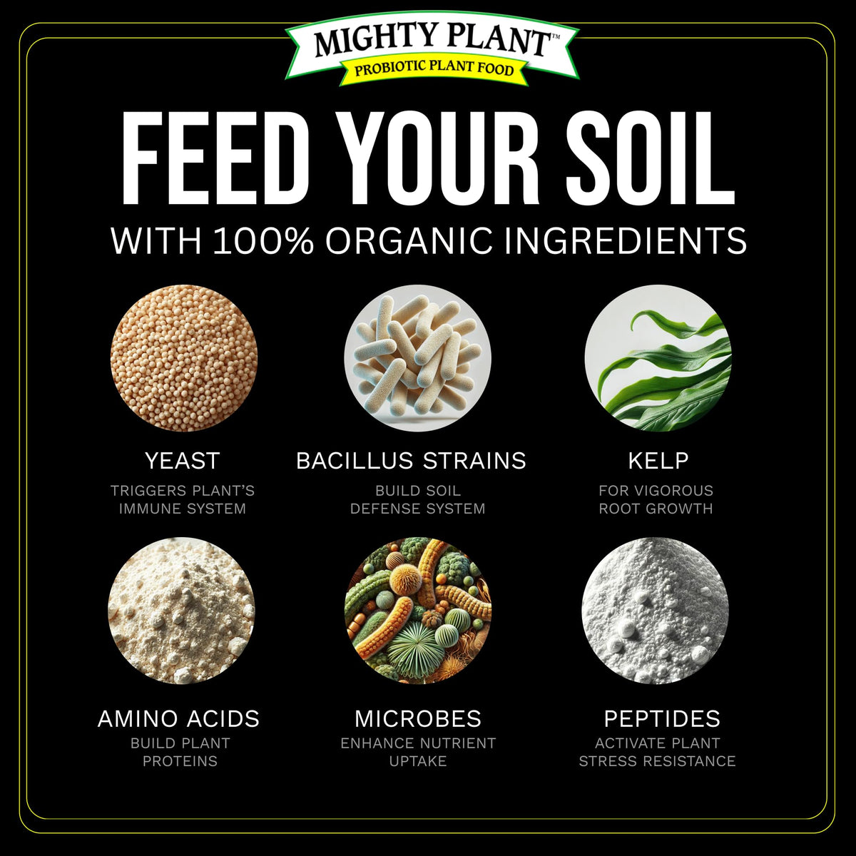 Mighty Plant Instant Compost Tea spray on leaves for potential foliage health and vigor.