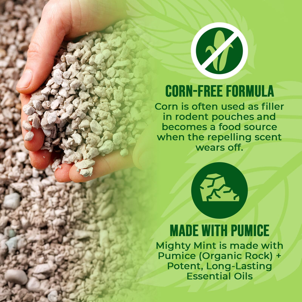 Mighty Mint use in basement corner for ongoing protection against mice.