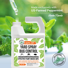 A large yard covered by Mighty Mint for extended pest prevention.