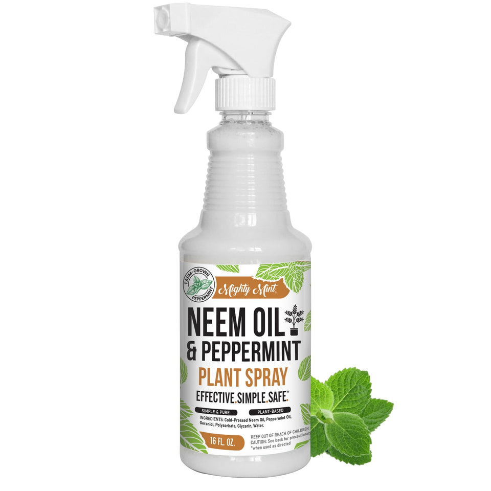 Mighty Mint neem oil spray leaf closeup for healthier foliage and natural nourishment.