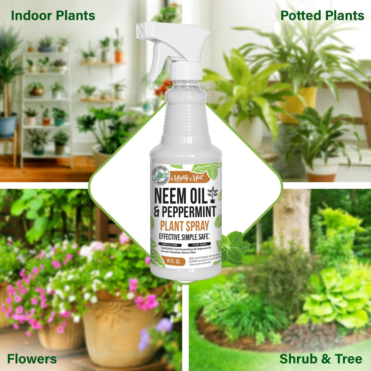 Mighty Mint outdoor garden plants sprayed on leaves