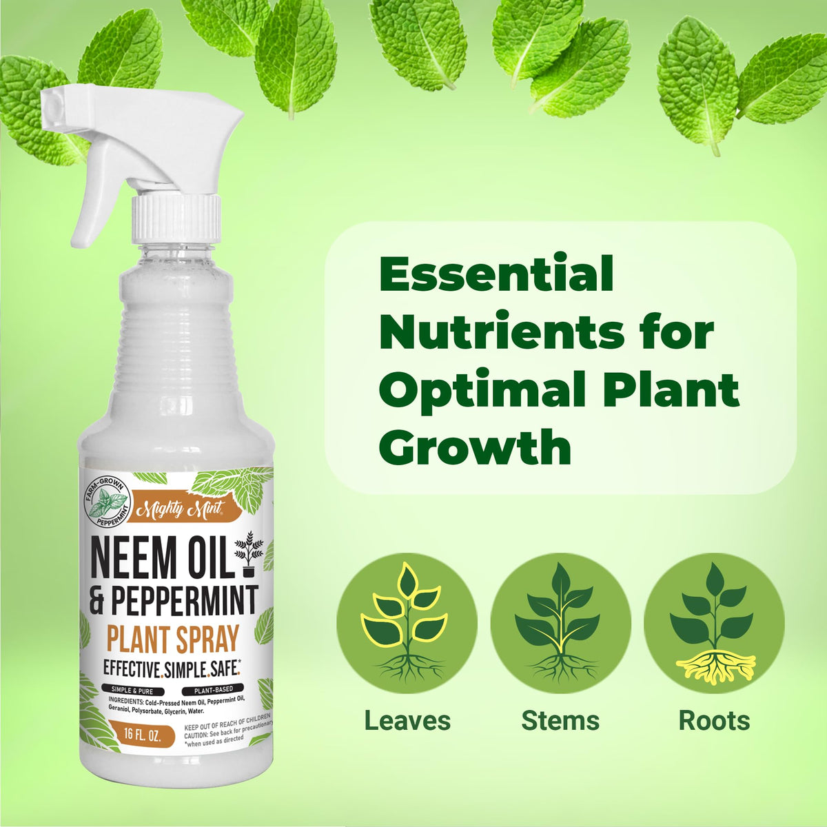 Mighty Mint outdoor plants use for robust growth in garden and balcony.