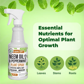 Mighty Mint outdoor plants use for robust growth in garden and balcony.