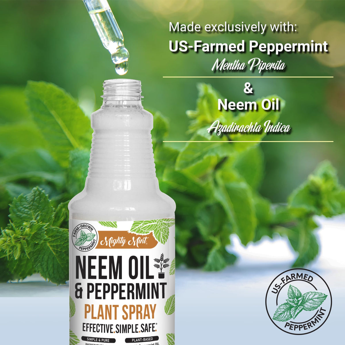 Mighty Mint pack-of-2 spray bottles for care