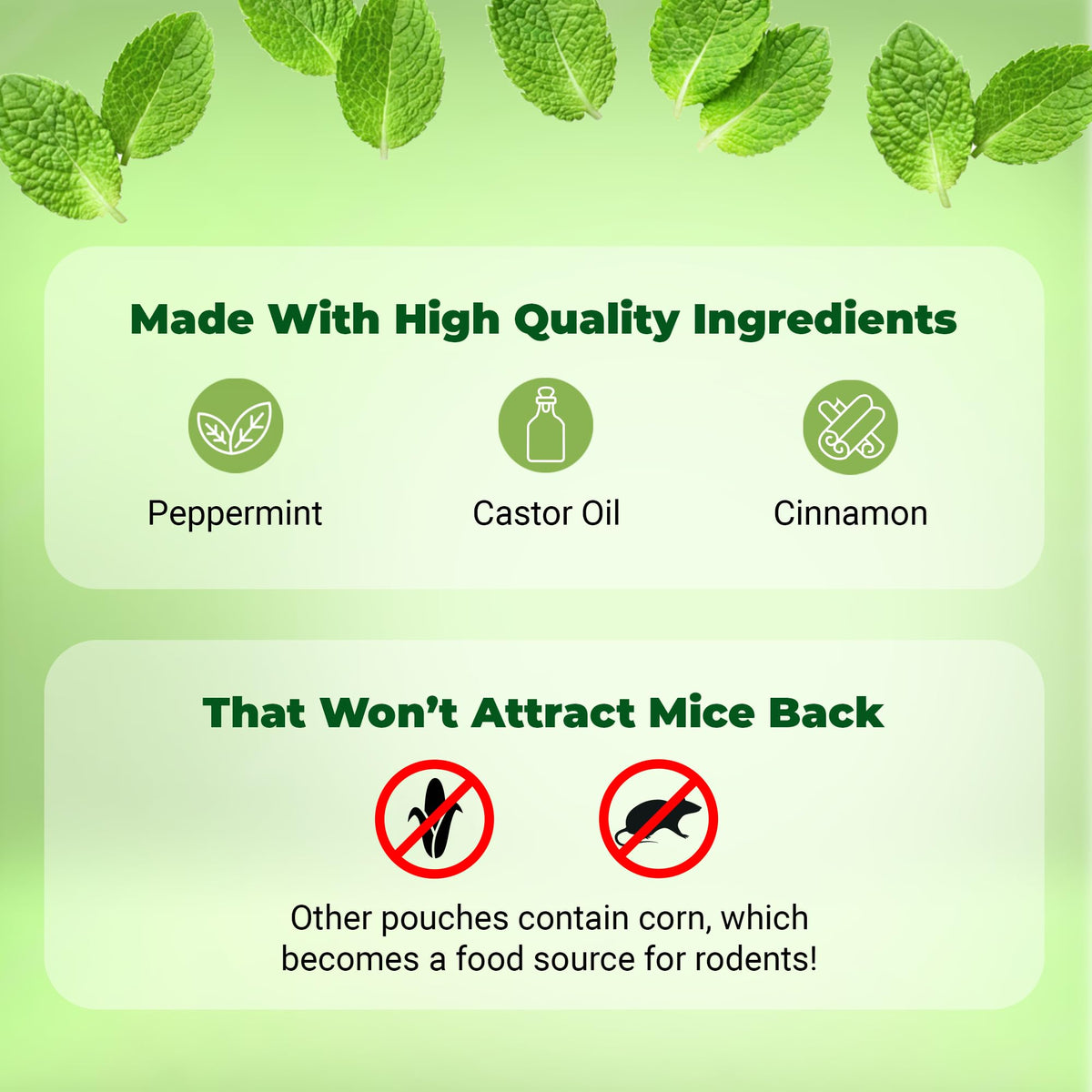 Mighty Mint packaging 12-count communicates convenient indoor protection.