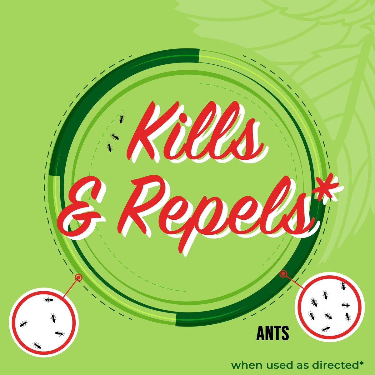 Mighty Mint Peppermint Oil Ant Killer Spray applying along baseboards to deter ants