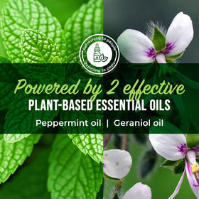 Mighty Mint Peppermint Oil Ant Killer Spray outdoor use on patios and entryways