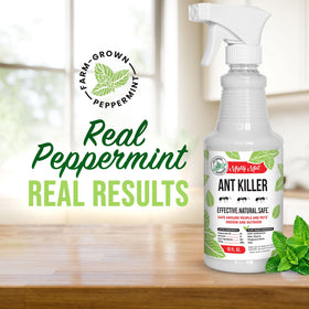 Mighty Mint Peppermint Oil Ant Killer Spray mist for quick indoor deterrence