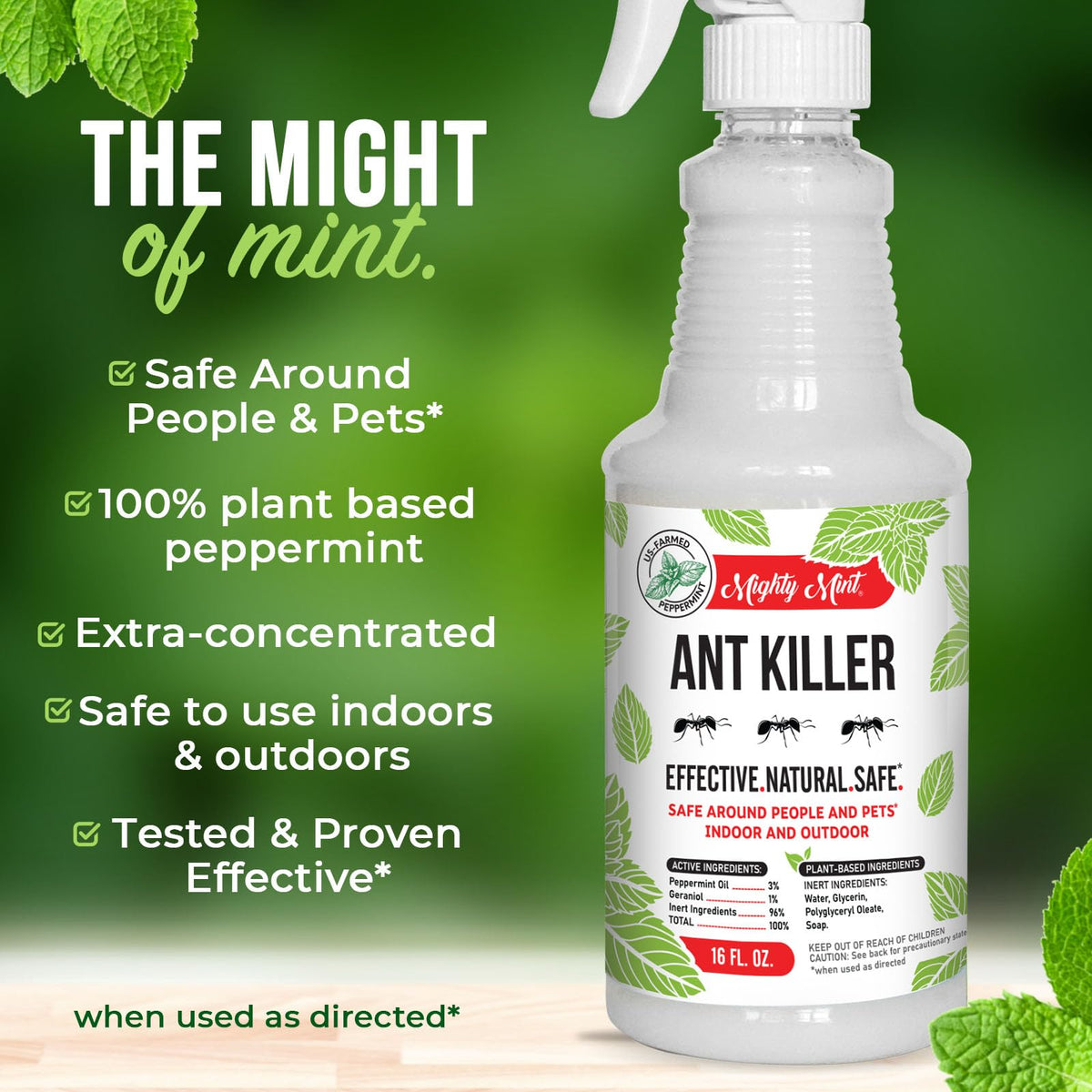 Mighty Mint Peppermint Oil Ant Killer Spray near doors blocks ant trails