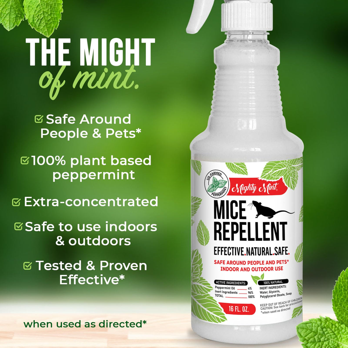 Mighty Mint attic edge application as a barrier against intruders