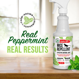 Mighty Mint bottle shown near baseboards for rodent deterrence