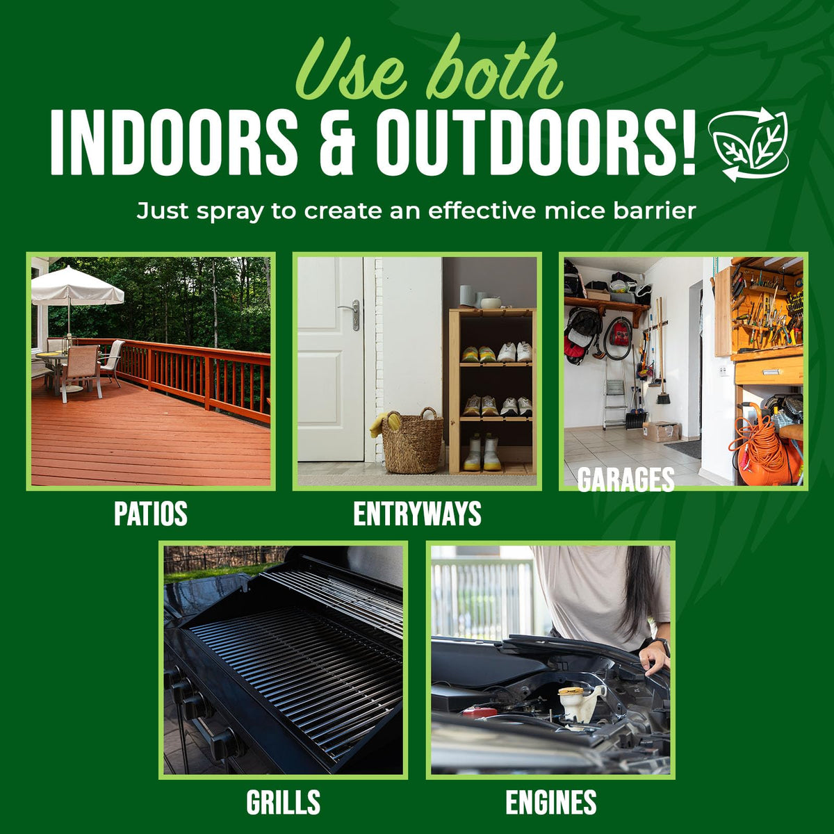 Mighty Mint spray near bathroom areas for odor-free rodent deterrence