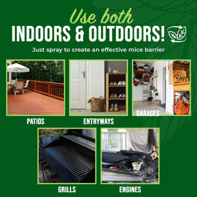 Mighty Mint spray near bathroom areas for odor-free rodent deterrence