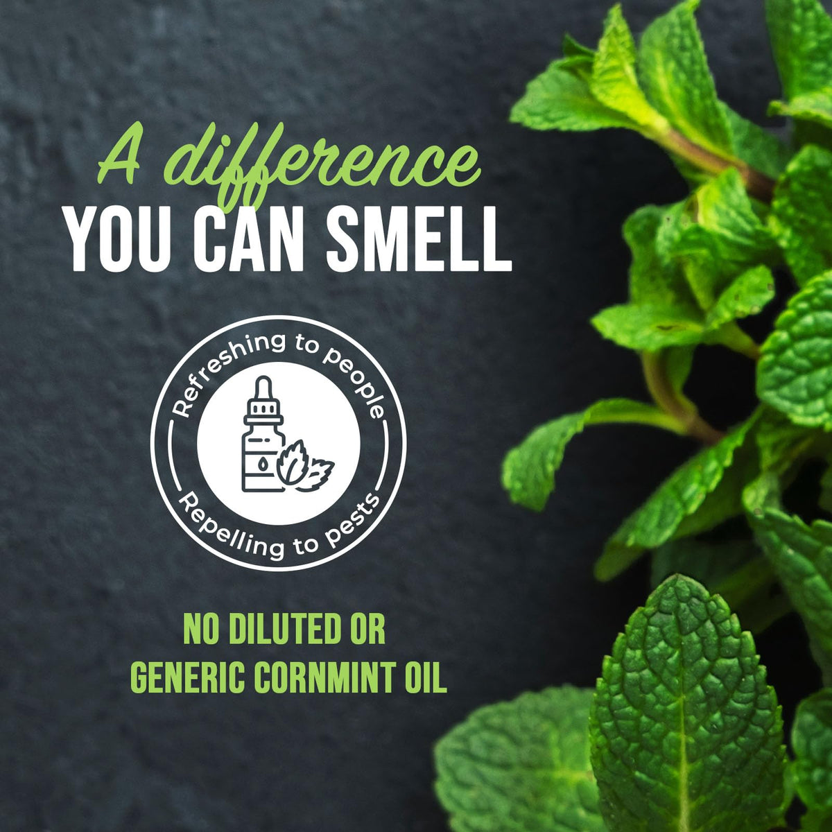 Mighty Mint on kitchen surfaces leaves a fresh peppermint aroma