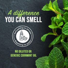 Mighty Mint on kitchen surfaces leaves a fresh peppermint aroma