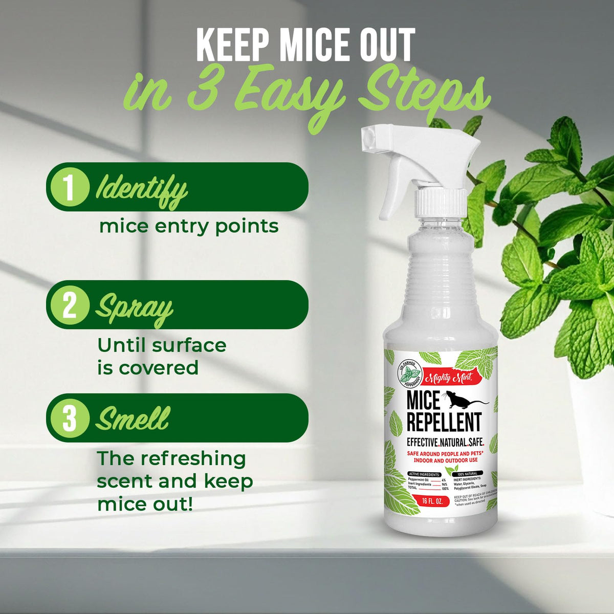 Mighty Mint outdoor perimeter spray for exterior protection