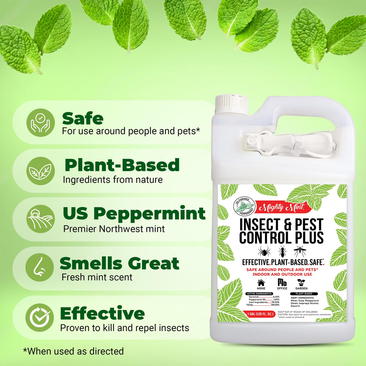 Baseboard application with Mighty Mint for perimeter pest defense.