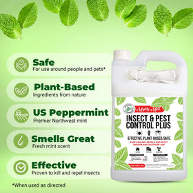 Baseboard application with Mighty Mint for perimeter pest defense.