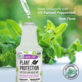 Mighty Mint Peppermint Oil Plant Protection Spray safe indoor use with directions