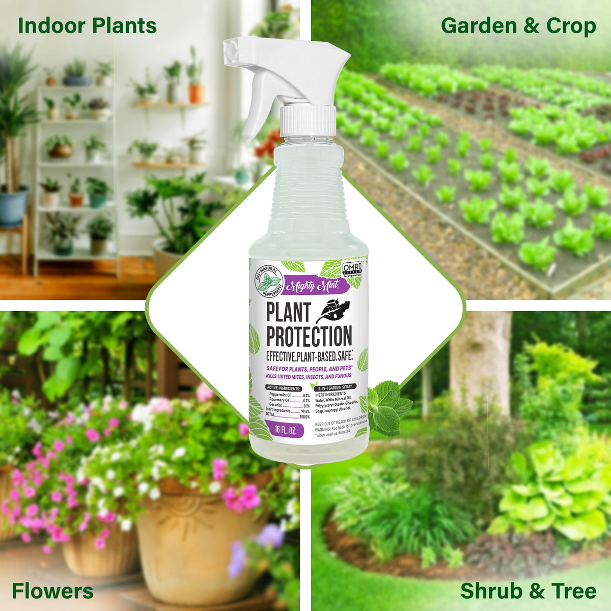 Mighty Mint Peppermint Oil Plant Protection Spray helps deter spider mites on greens