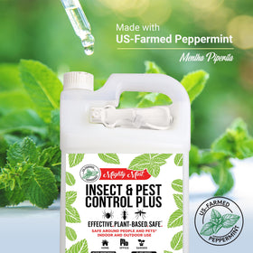 Ants near kitchen repelled by Mighty Mint spray.