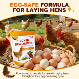 Miguelina chili powder blend sprinkled on feed to support digestive comfort in chickens.