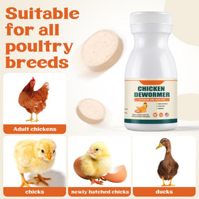 Miguelina Dewormer being dosed to poultry during routine care.