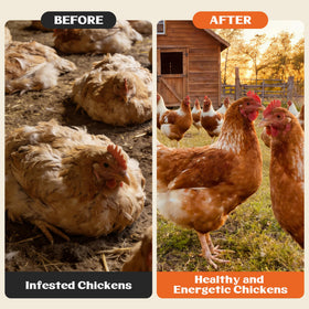 Miguelina Dewormer supports multiple poultry species in one supplement.