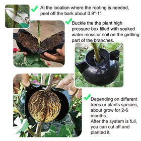 MIIIM air-layering pods clear allow quick moisture checks for healthy rooting.