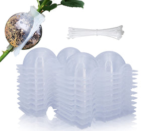 MIIIM growth-friendly design supports successful air layering.