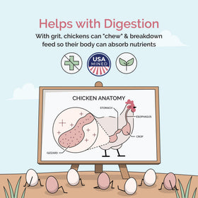 Mile Four Grit digestive aid during feeding supports intake