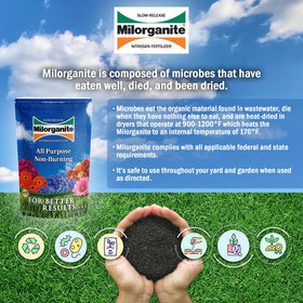 Milorganite 5lb bag on lawn ready for steady release.