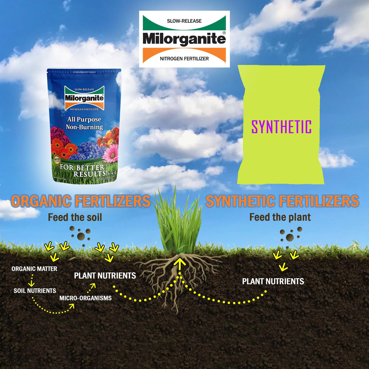 Milorganite supports strong roots for flowers and shrubs.