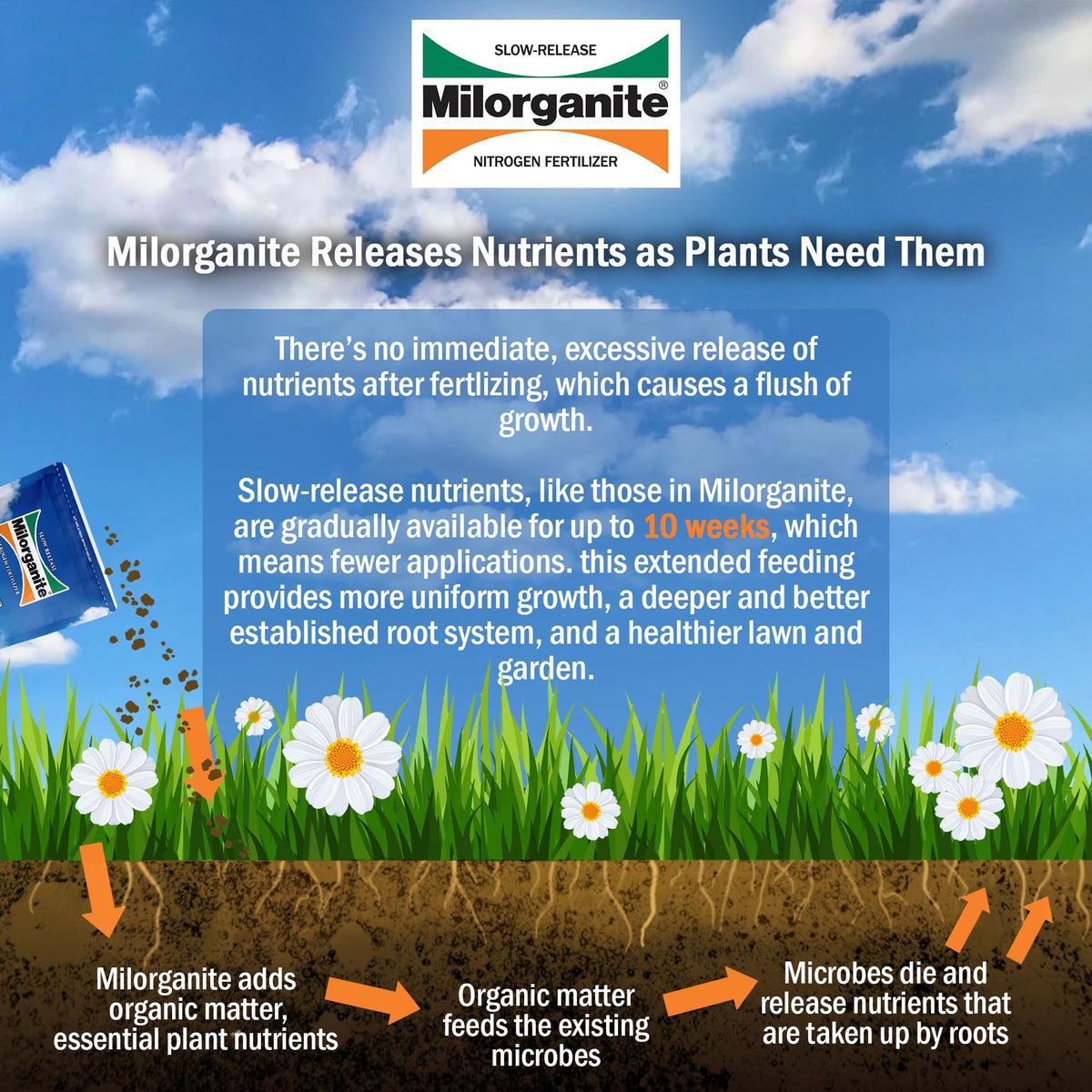 Milorganite iron greens lawn without staining concrete.