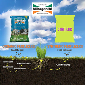 Milorganite-iron-nutrition provides color without staining sidewalks or concrete.