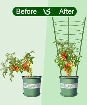 Collapsible Mimeela plant cage for easy seasonal storage.