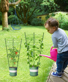 Green-coated Mimeela cage blends with foliage while protecting leaves.