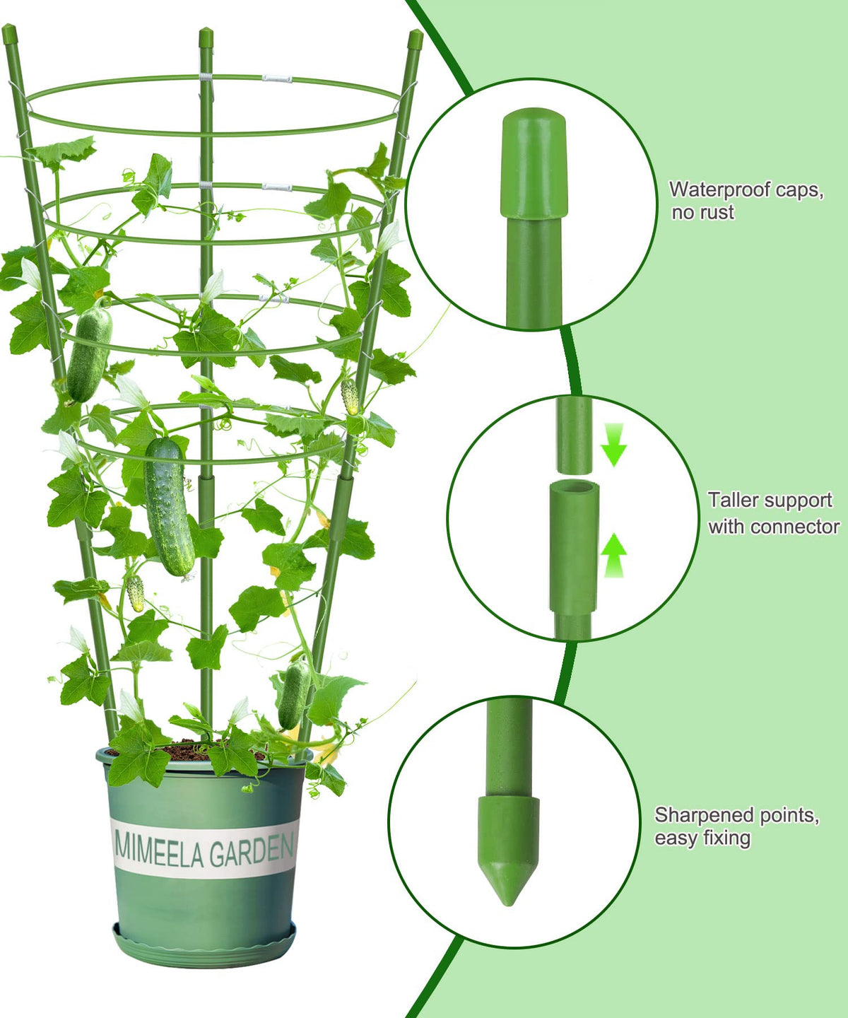 Adjustable hoops support climbing plants with flexible sizing.