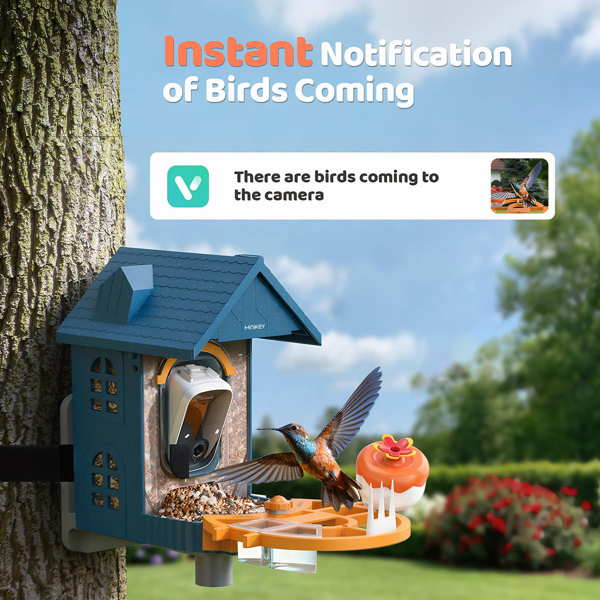 Minikey 2K HD birdwatching footage with wide-angle view